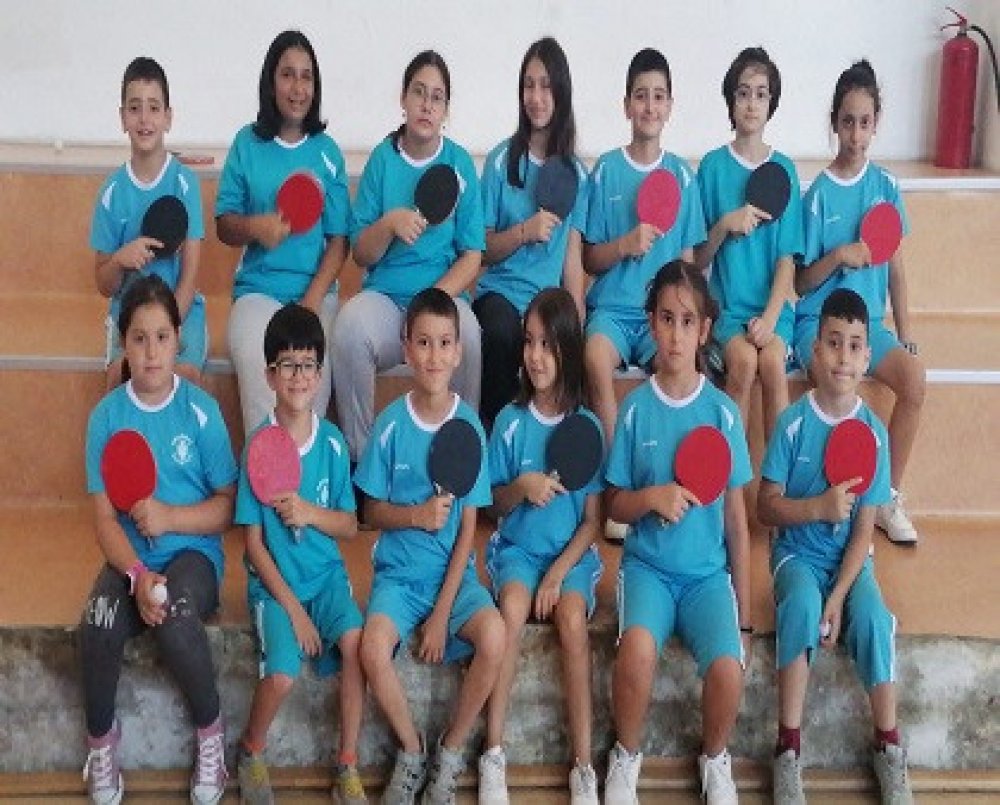 MASA TENİSİ